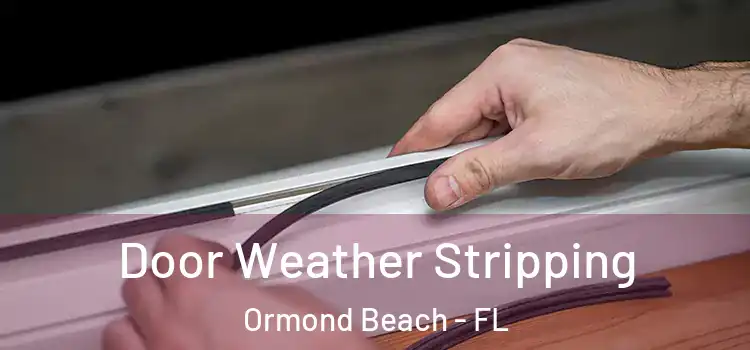 Door Weather Stripping Ormond Beach - FL