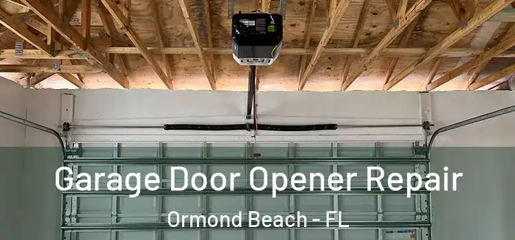  Garage Door Opener Repair Ormond Beach - FL